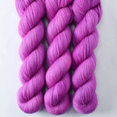 Balloon Animals - Miss Babs Yummy 2-Ply superwash Merino wool yarn