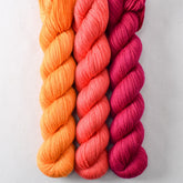 Beam, Coral, Dark Cassiopeia - Miss Babs Yowza Mini Trio
