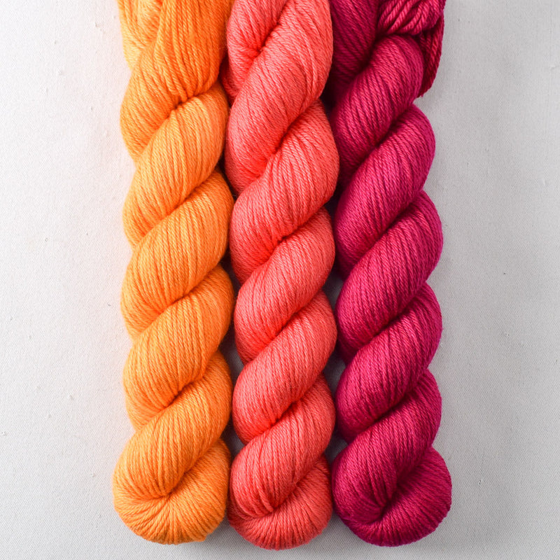 Beam, Coral, Dark Cassiopeia - Miss Babs Yowza Mini Trio