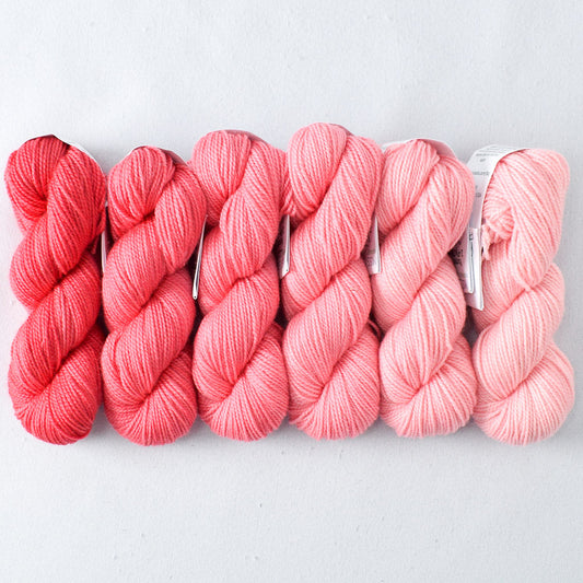 Flamingos - Miss Babs Gradient Set