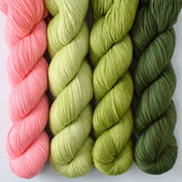 Beanstalk, Dahlia, Hops, Iantha - Miss Babs Avon Quartet