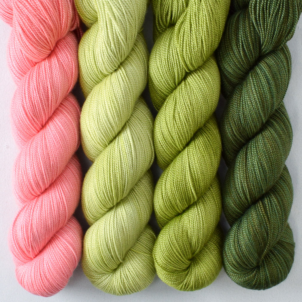 Beanstalk, Dahlia, Hops, Iantha - Miss Babs Avon Quartet