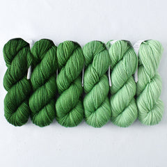Beanstalk - Gradient Set