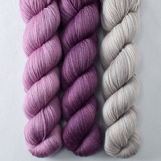 Beechwood, Fig, Tulipa - Miss Babs Caroline Trio