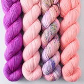 Berry Patch, Puna Flamingo, Rhodochrosite, Sargas - Miss Babs Yummy 2-Ply Quartet