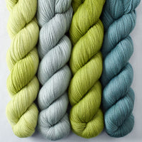 Beryl, Hops, Iantha, Oak Moss - Miss Babs Avon Quartet