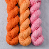 Bikini Bottom, Coreopsis, Torchbearer - Miss Babs Yummy 2-Ply Trio