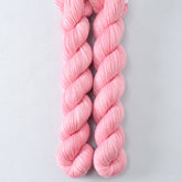 Bikini Bottom - Miss Babs Yowza Mini superwash Merino wool yarn