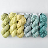 Bird Eggs - Gradient Set - Babette