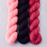 Blackbird, Dahlia, Ruby Spinel - Miss Babs Yummy 2-Ply Trio