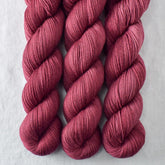 Black Cherry - Miss Babs Putnam Merino wool and nylon sock yarn