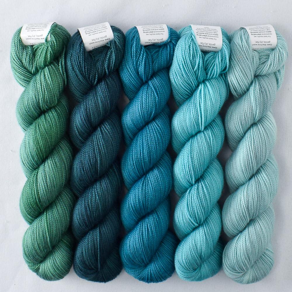 Blackwatch, Blue Parakeet, Deer Moss, Rainforest, Seaside - Miss Babs Shawlography Set