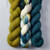 Blackwatch, Moss, Surprise - Miss Babs Yummy 2-Ply Trio