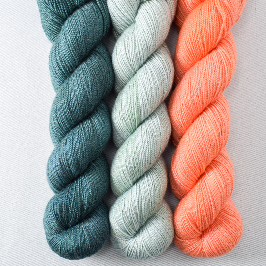 Blackwatch, Palm Valley, Spicy Papaya - Miss Babs Avon Trio