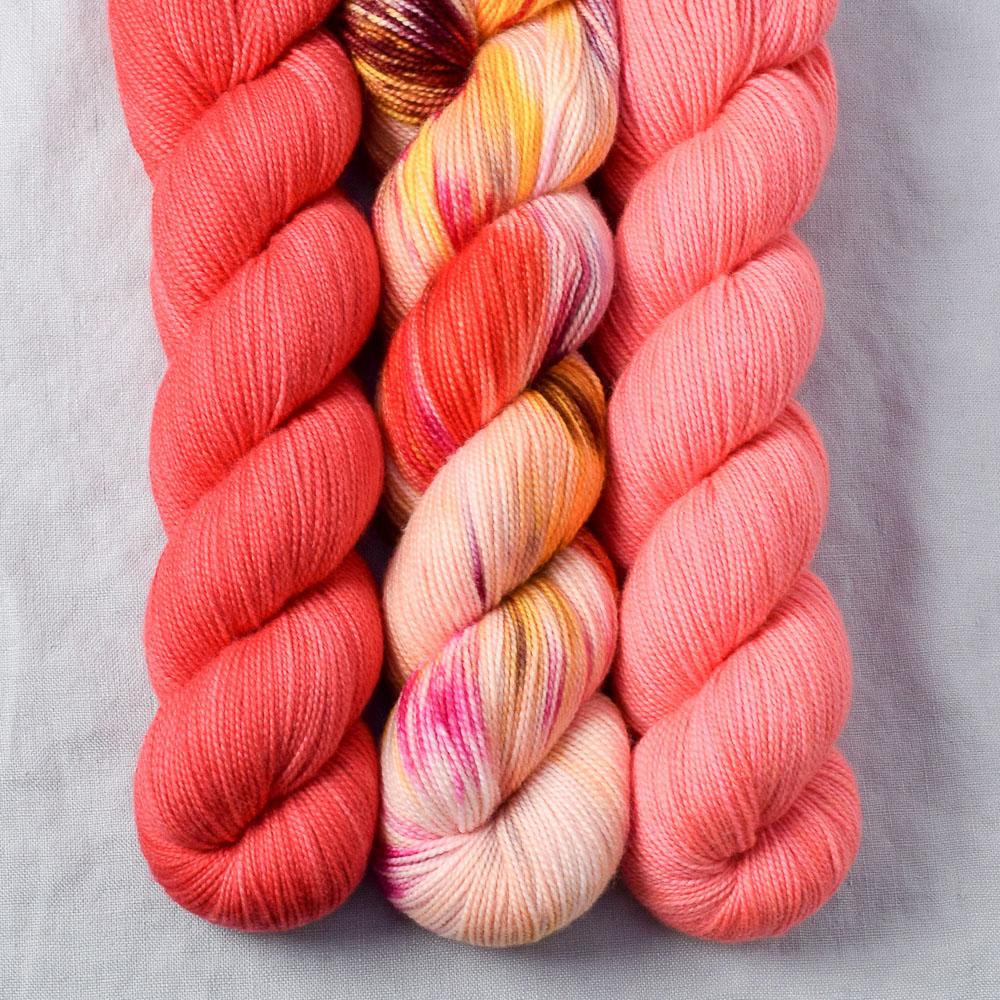 Bloomin Pansies, Coral, Pink Grapefruit - Miss Babs Yummy 2-Ply Trio