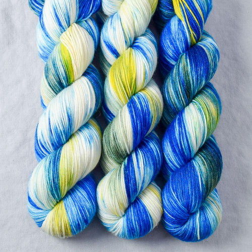 Bluebonnets - Miss Babs Tarte yarn