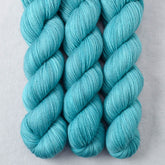 Blue Parakeet - Miss Babs Yummy 2-Ply superwash Merino wool yarn
