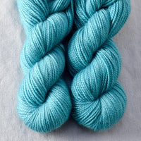 Blue Parakeet - Miss Babs 2-Ply Toes yarn
