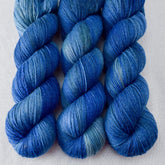 Blue Ridge - Miss Babs Tarte wool blend sock yarn