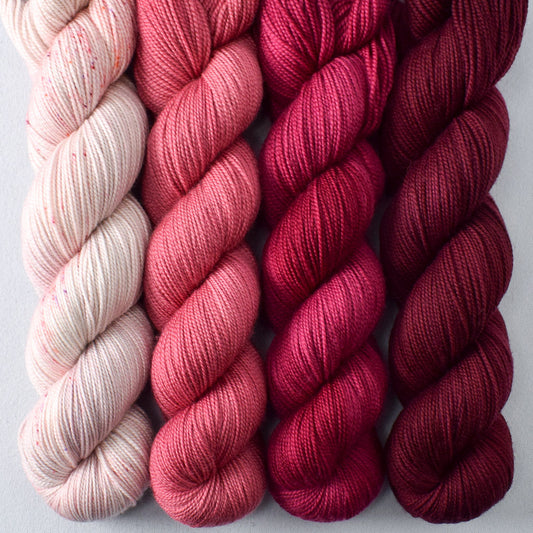 Blusher, Bearberry, Aubusson, Dark Canis Major - Miss Babs Yummy 2-Ply Quartet