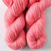 Bottle Ring - Miss Babs Yummy 2-Ply Toes superwash Merino wool yarn