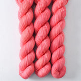 Bottle Ring - Miss Babs Yowza Mini superwash Merino wool yarn