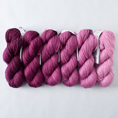 Bougainvillea - Gradient Set