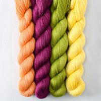 Bougainvillea, Hops, Sugar Maple 3, Sunny - Miss Babs Yet Quartet