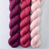 Bougainvillea, Sugar, Zinfadel - Miss Babs Yowza Mini Trio
