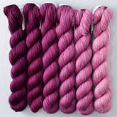 Bougainvillea - Yowza Mini Set of Six
