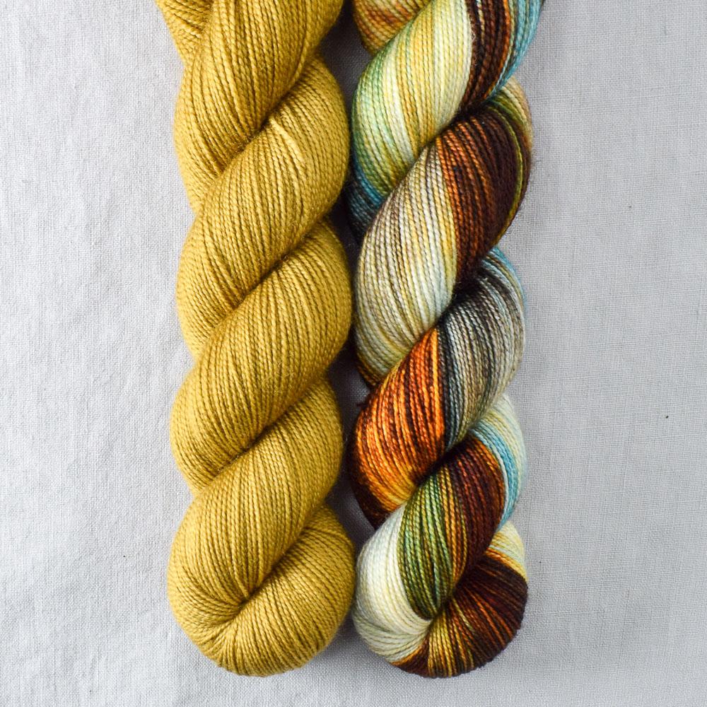Box Turtle, Lost Treasure - Miss Babs 2-Ply Duo