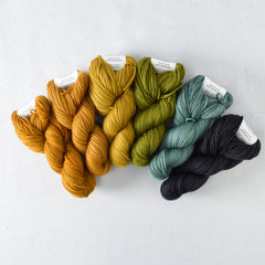 Breiwick - Gradient Set