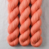Bullfinch - Miss Babs Yummy 2-Ply superwash Merino wool yarn