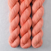 Bullfinch - Miss Babs Putnam Merino wool and nylon sock yarn