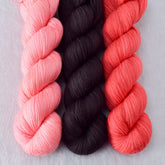 Cacao, Coral, Dahlia - Miss Babs Yummy 2-Ply Trio