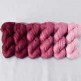 Canis Major - Gradient Set