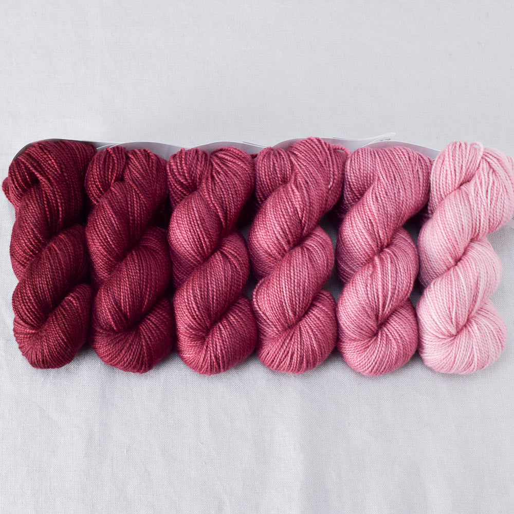 Canis Major - Gradient Set