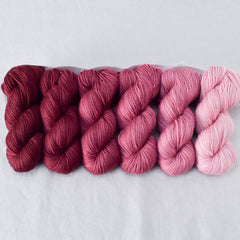 Canis Major - Gradient Set