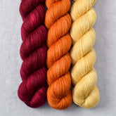 Carnelian, Catherine, Wheaten - Miss Babs Yowza Mini Trio