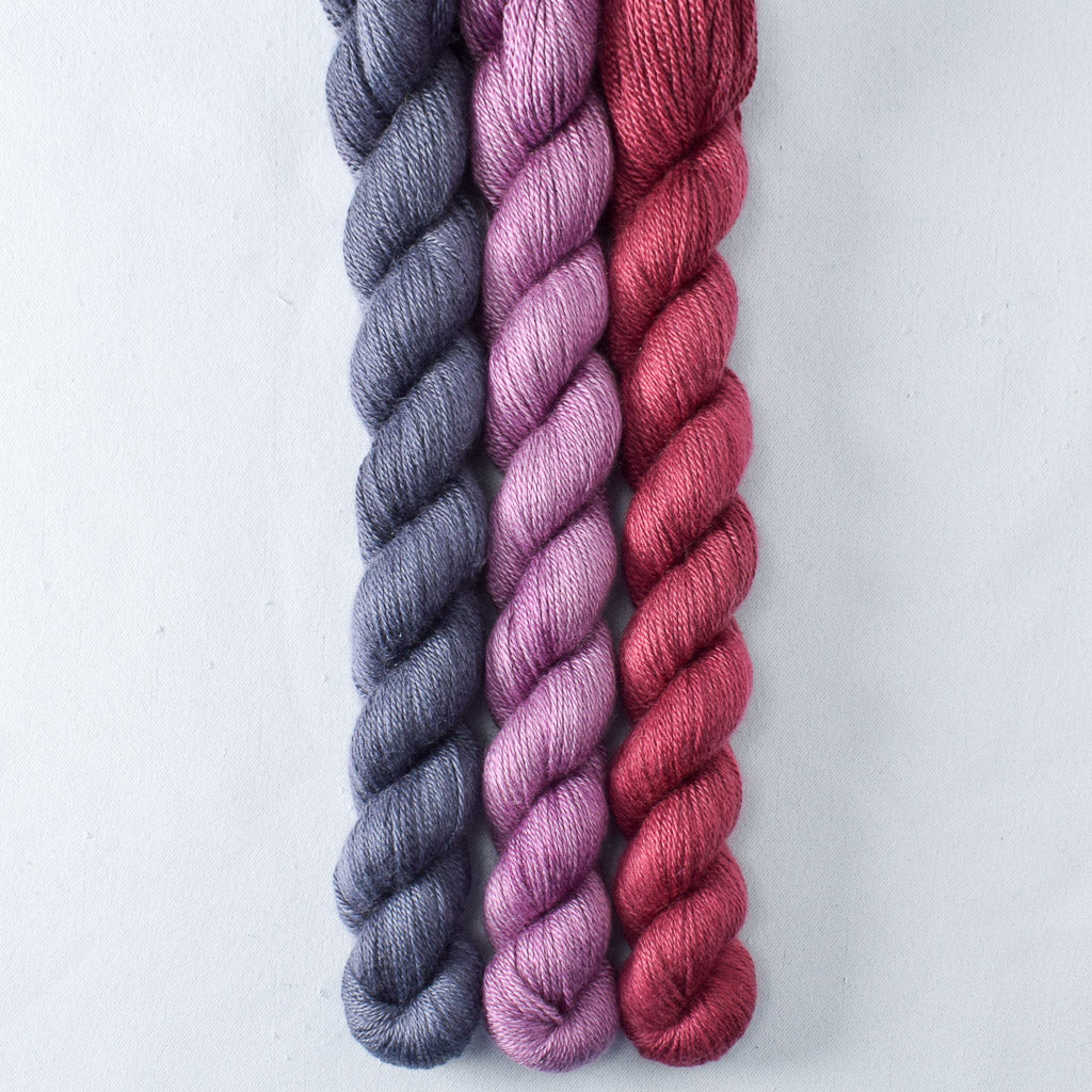 Cascara, Catherine, Japanese Maple - Miss Babs Sojourn Trio