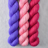 Cassiopeia, Gentian, Princess Party - Miss Babs Yowza Mini Trio