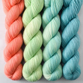 Catnip, Correa, Here and Now, Meteors - Miss Babs Yummy 2-Ply Quartet