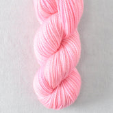 Cat's Meow - Miss Babs Yummy 2-Ply Toes superwash Merino wool yarn