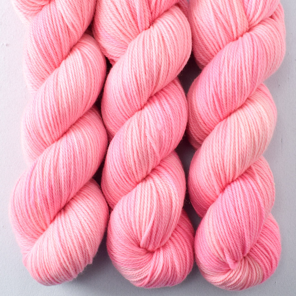 Cat's Meow - Miss Babs Intrepid yarn