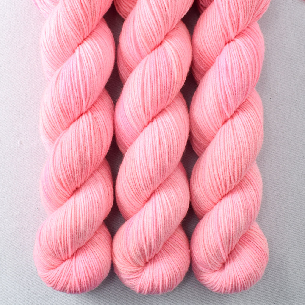 Cat's Meow - Miss Babs Putnam Merino wool and nylon sock yarn