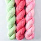 Cattitude, Lotus, Princess Party - Miss Babs Yummy 2-Ply Trio