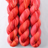 Chasing Dawn - Miss Babs Yummy 2-Ply superwash Merino wool yarn