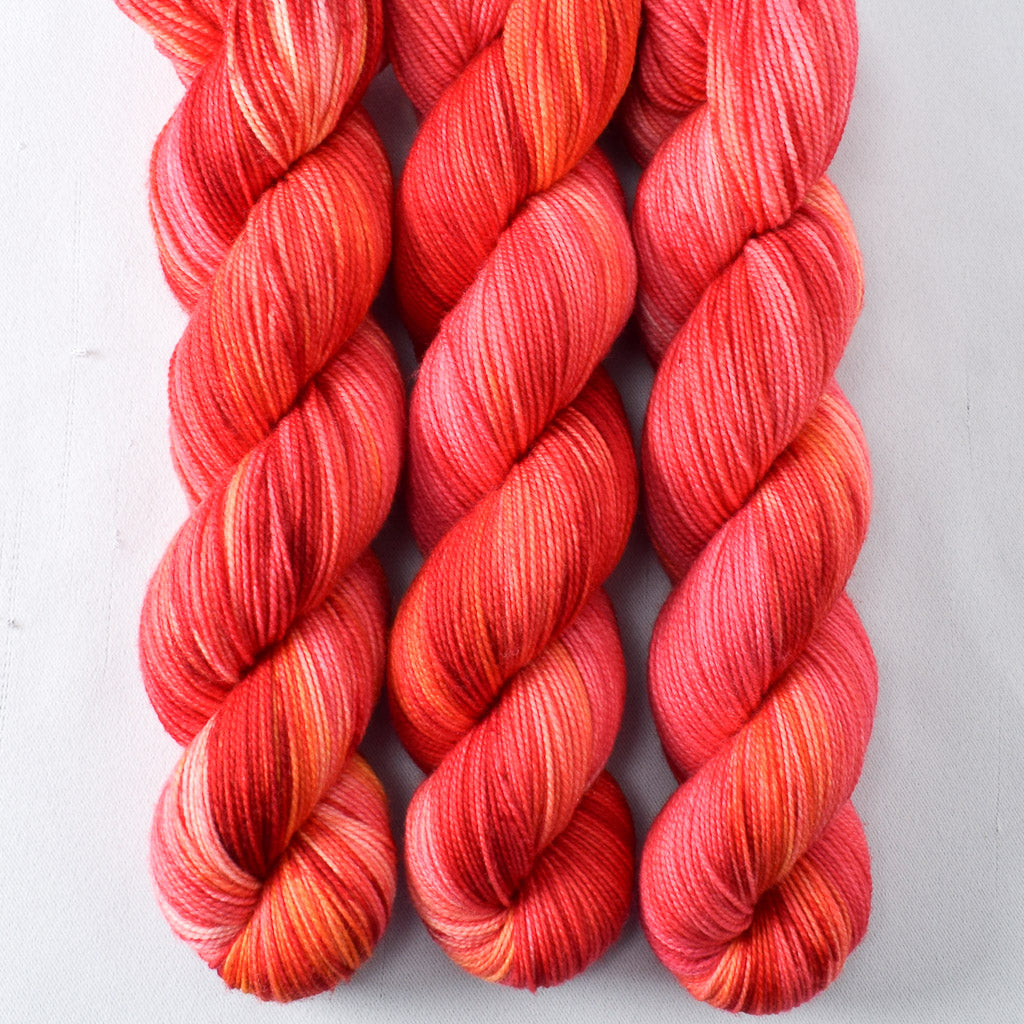 Chasing Dawn - Miss Babs Yummy 2-Ply superwash Merino wool yarn