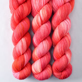 Chasing Dawn - Miss Babs Caroline merino-cashmere-nylon yarn