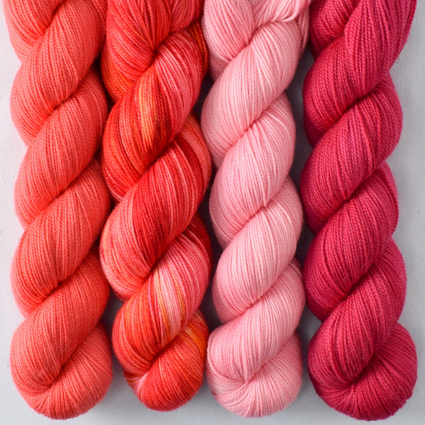 Chasing Dawn, Coral, Greater Flamingo, Scarlet Pimpernel - Miss Babs Yummy 2-Ply Quartet